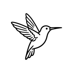 Obraz premium Hummingbird in flight motion wings.