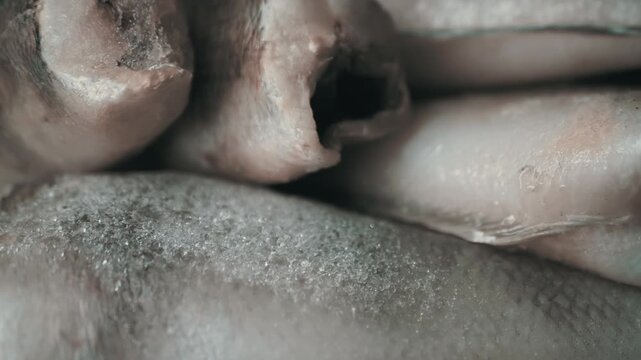 A macro view of raw, frozen hake fish carcasses covered in tiny ice crystals and frost. Concept of seafood preservation, cold storage industry, and raw ingredient preparation.