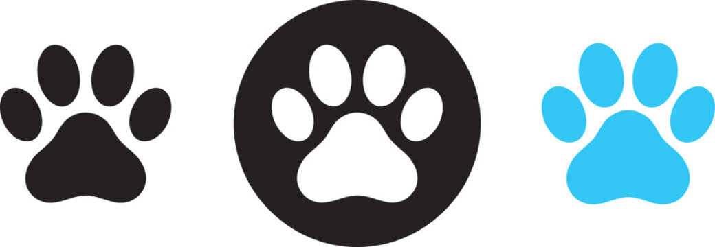 Set of three flat animal paw print vector icons in black and blue isolated on white