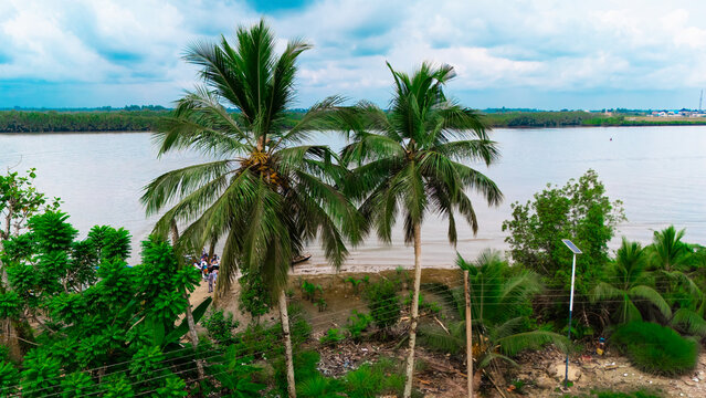 Aerial view of a riverbank lined with lush palm trees and greenery, featuring a small boat with people near the shore in Minima, Rivers, Nigeria.