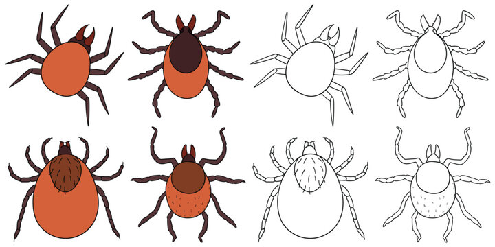 Hand-drawn cartoon and doodle set of encephalitis ticks on a white background.