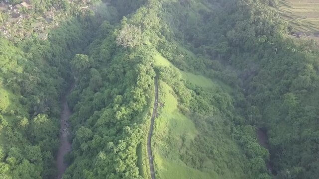 Campuhan Hill, Ubud