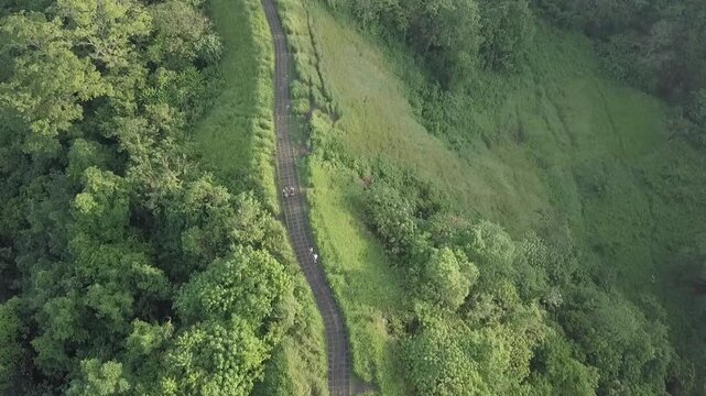 Campuhan Hill, Ubud