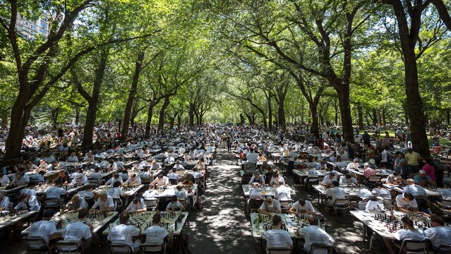 Outdoor chess tournament under lush green trees with large crowd