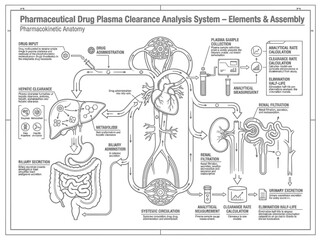 Obraz premium Pharmaceutical drug plasma clearance and pharmacokinetics analysis chart