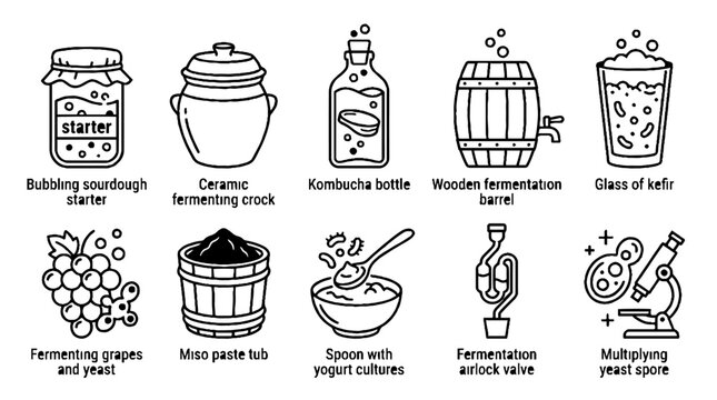 Fermentation process icons set featuring sourdough starter kombucha kefir and miso paste line art.