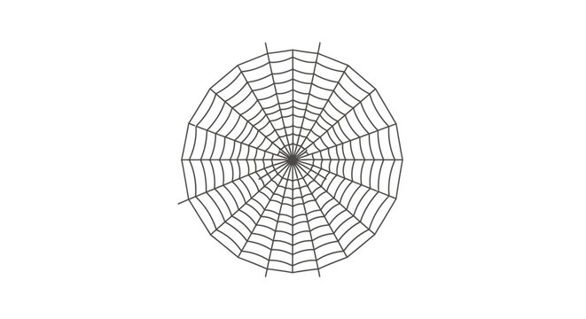 Intricate circular web design with radial symmetry