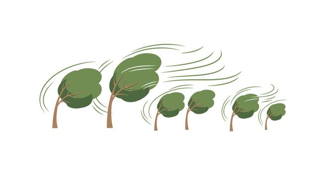 Trees bending under strong wind force nature illustration
