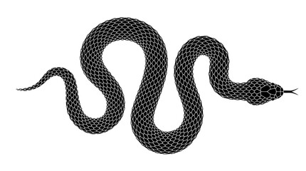 Fototapeta premium Snake illustration in stippling style on white background