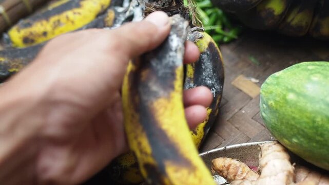 Close-up of a hand picking up a rotten banana covered in white mold, symbolizing food waste and spoilage
