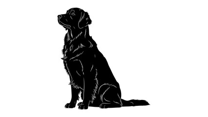 Silhouette of a Black Labrador Retriever Sitting: A striking silhouette of a black Labrador Retriever, poised and attentive, sits elegantly against a clean background. © md