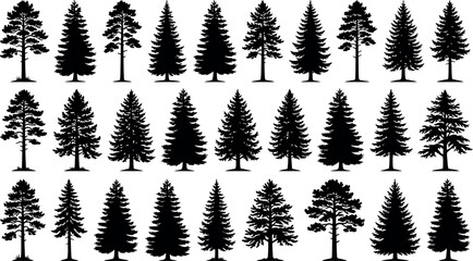 Coniferous Tree Silhouettes On White Background Variety Of Shapes © Peru