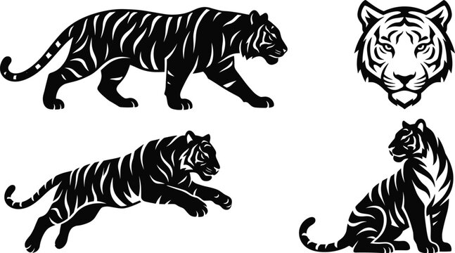 Tiger silhouette collection with fierce wild cat poses, black tribal style wildlife and predator animal illustrations