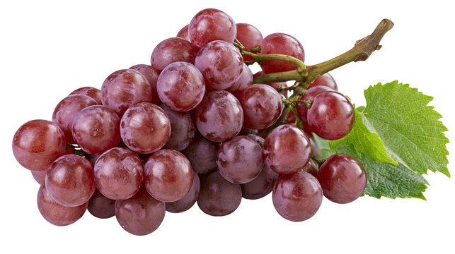 Red globe grapes cluster with stem and leaf