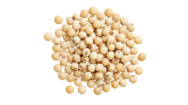 Pile of dried soybeans with visible hilum