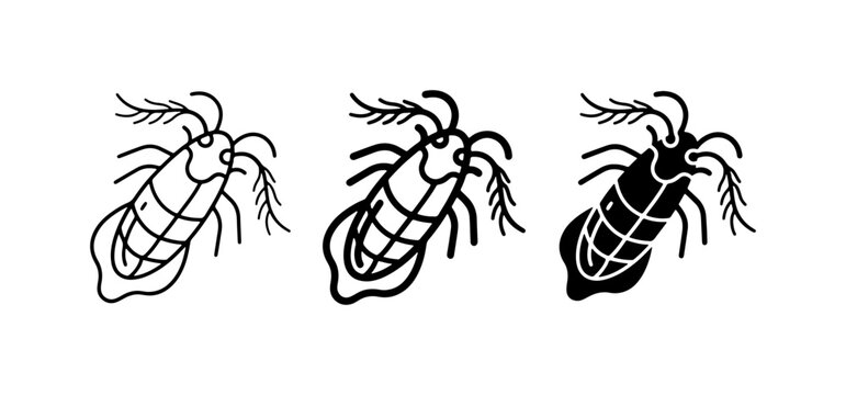 Insect Icons: Three Stylized Cockroach Vector Graphics, Line Art and Silhouette