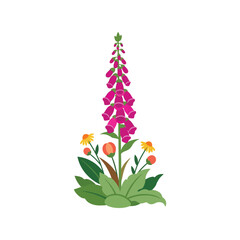 Pink foxglove flower illustration with green leaves isolated on white background © azad
