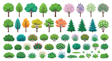Collection Of Various Trees And Shrubs Vector Illustration © Sumon