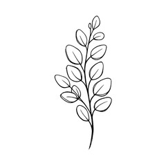 Obraz premium PNG Minimalist botanical line art