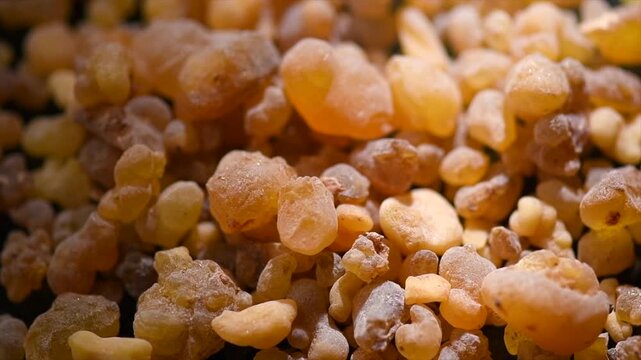 Olibanum Frankincense resin, Boswellia sacra background. Frankincense or olibanum aromatic resin for incense and perfumes, dark rotating backdrop, design 