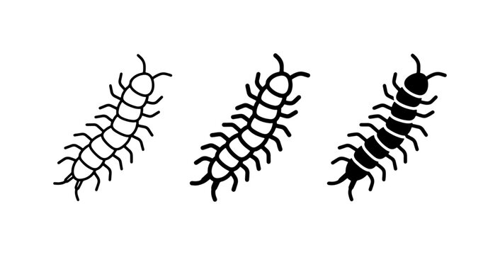 Centipede Icons, Insect Vector Graphics, Arthropod Line Art, Black and White Bug Silhouettes