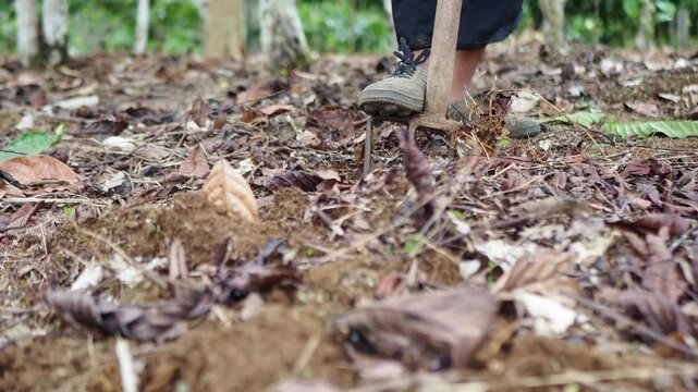 Close-up of person's feet and garden fork working in soil with fallen leaves and trees in the background