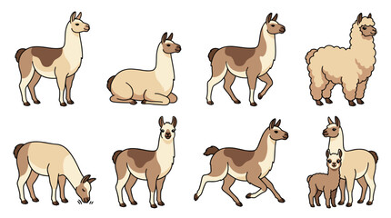 Fototapeta premium Diverse camelid characters illustrating various types and poses, including llama, alpaca, vicuña, and guanaco, suitable for wildlife, nature, and farm animal concepts