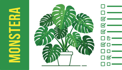 A detailed illustration of a large potted Monstera plant with glossy leaves © FRIDA STORE