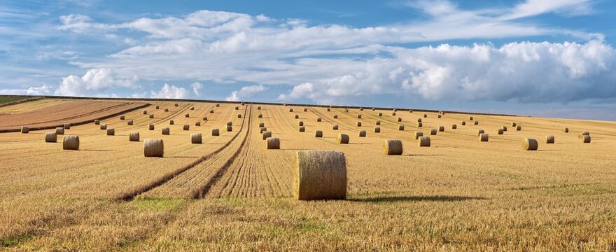 Panorama, Harvest time, Endless field with straw bales, Stubble field under blue sky with clouds in summer, Burgenlandkreis, Saxony-Anhalt, Germany