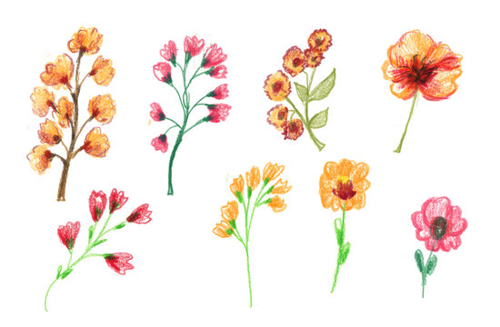 Big Set watercolor elements - wildflowers, herbs, leaf. collection garden and wild, forest herb, flowers, branches. illustration isolated on white background, exotic leaf. Botanic