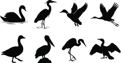 Water birds and waterfowl silhouettes set featuring swan heron duck crane goose pelican and cormorant vector graphics © Asib