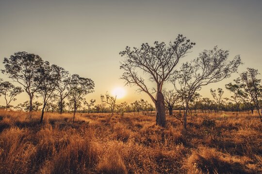 Outback Scenes Australia