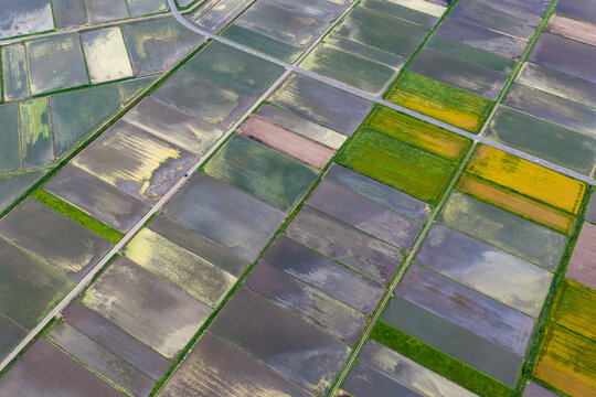 Aerial view of Iwase Rice fields showing a geometric pattern of flooded agricultural plots and farmland in Iwase, Ibaraki, Japan.