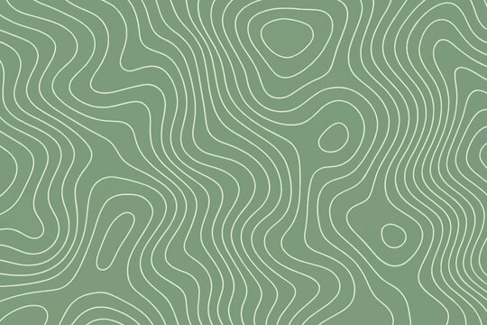 Abstract sage green topographic contour lines background seamless pattern.