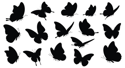 Butterfly Silhouettes On White Background A Collection Of Insect Shapes © Foaje512