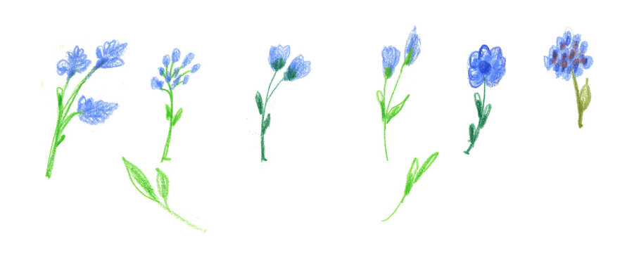  Big Set watercolor elements - wildflowers, herbs, leaf. collection garden and wild, forest herb, flowers, branches. illustration isolated on white background, exotic leaf. Botanic