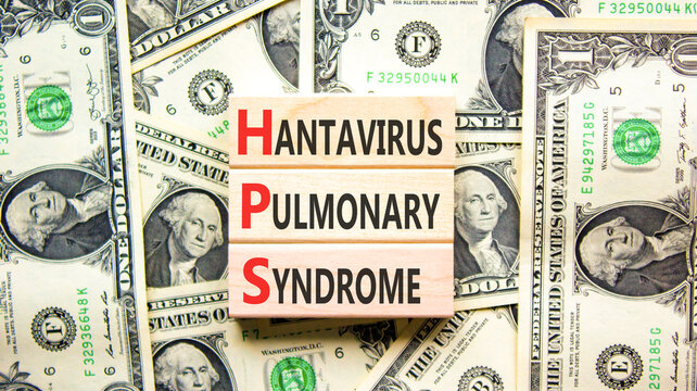 HPS hantavirus pulmonary syndrome symbol. Concept words HPS hantavirus pulmonary syndrome on beautiful wooden blocks. Beautiful dollar bills background. Medical HPS Hantavirus concept. Copy space.