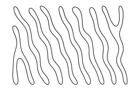 Abstract linear reaction diffusion Turing pattern isolated on white background.