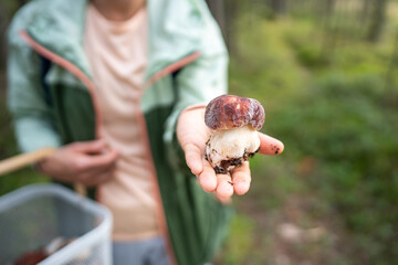 Obraz premium Female forager holding picked porcini mushroom in hand in woodland. Mushroom hunting, autumn harvest, forest find, natural food, wild cuisine, search of edible fungi
