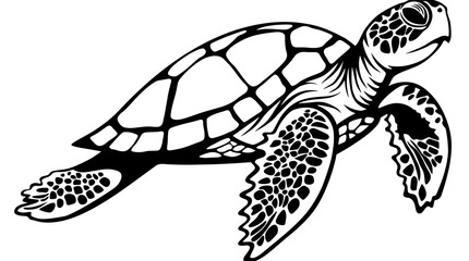 Fototapeta premium Black and white sea turtle swimming underwater illustration minimalist line art