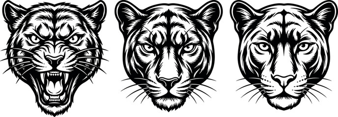 Black Panther and Puma Head Vector Mascot Set with Angry Roaring Wild Cat Faces for Sports Team Logos, T-Shirt Prints, and Apparel Graphic DesignsBlack Panther and Puma Head Vector Mascot Set with Ang © MDHAFIJUDDIN