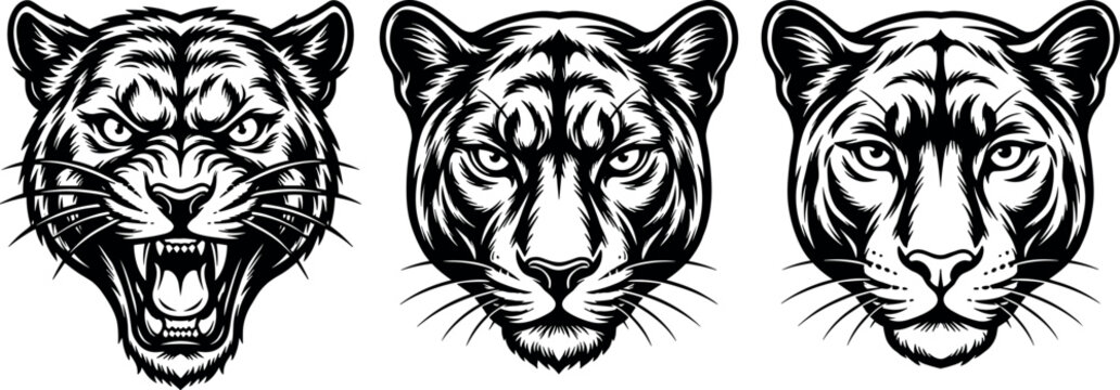 Black Panther and Puma Head Vector Mascot Set with Angry Roaring Wild Cat Faces for Sports Team Logos, T-Shirt Prints, and Apparel Graphic DesignsBlack Panther and Puma Head Vector Mascot Set with Ang