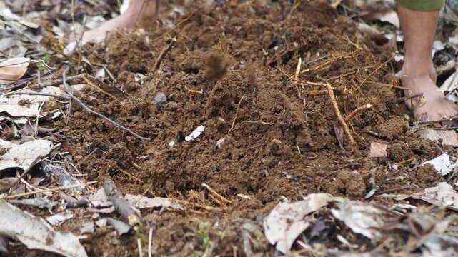 Close-up of a person using a traditional garden hoe to dig and cultivate soil, preparing ground for planting