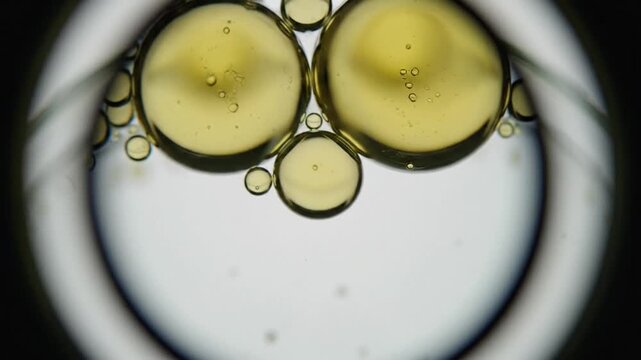 Golden oil droplets float in clear liquid under microscope magnification in a laboratory setting.