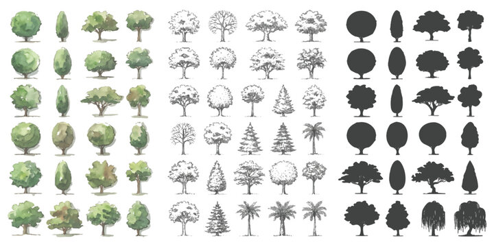 Collection of various tree icons set with green leaf sketches and black solid silhouettes for garden design