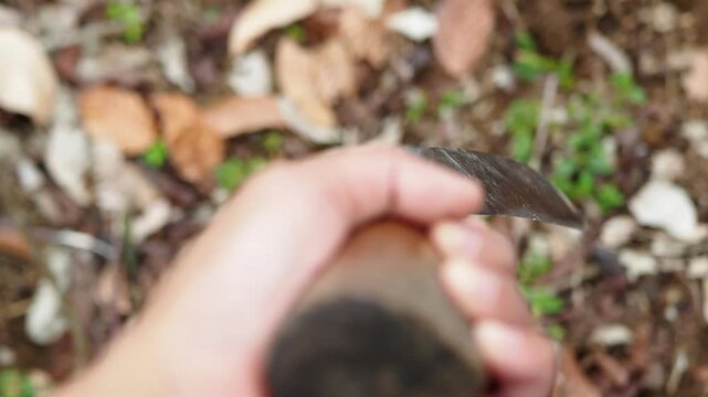 First-person view of a hand holding and rotating a small, curved machete, showcasing its sharp blade against a blurred outdoor background of dry leaves and soil.
