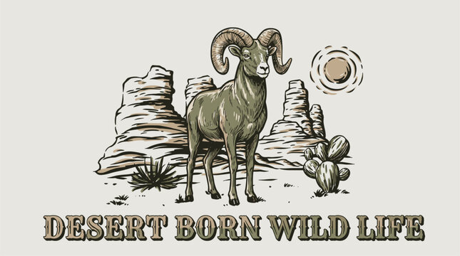 Desert born wild life. Bighorn sheep mountain artwork. Vintage desert shirt design.. Bighorn sheep