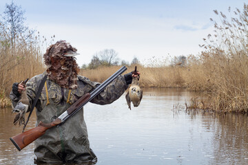 Naklejka premium The hunter stands in the lake water and holds two dead ducks in