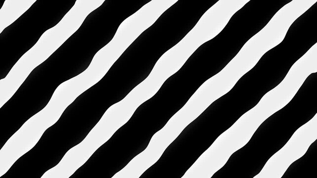 Abstract black and white wavy lines background. Dynamic zebra stripe pattern perfect for modern advertising and creative motion graphics.
