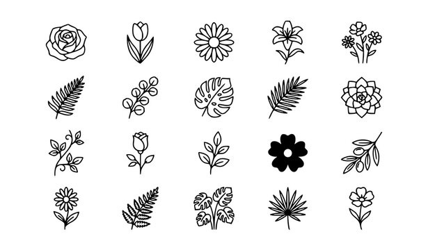 Botanical line art collection flowers leaves and tropical plant illustrations
